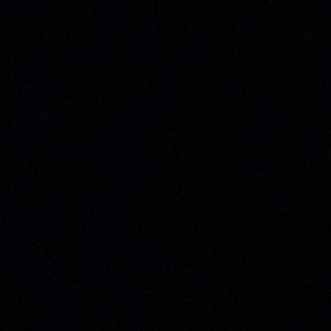 Meet your Posher, Annaleece